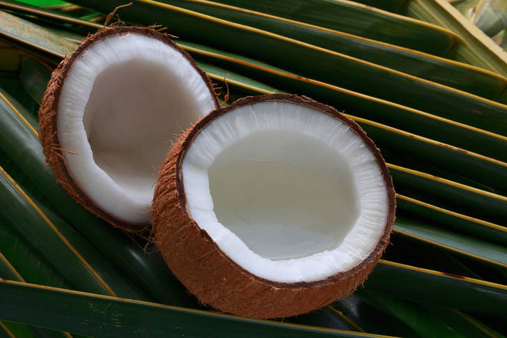 Noce di cocco su foglie di palma