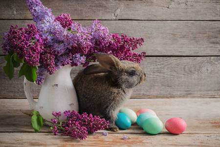 Rabbit with Easter eggs and lilac