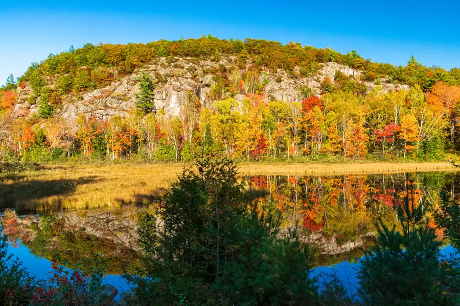 Algonquin Provincial Park