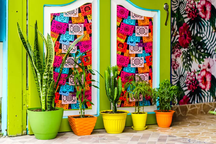 Planten voor een koloniaal gebouw