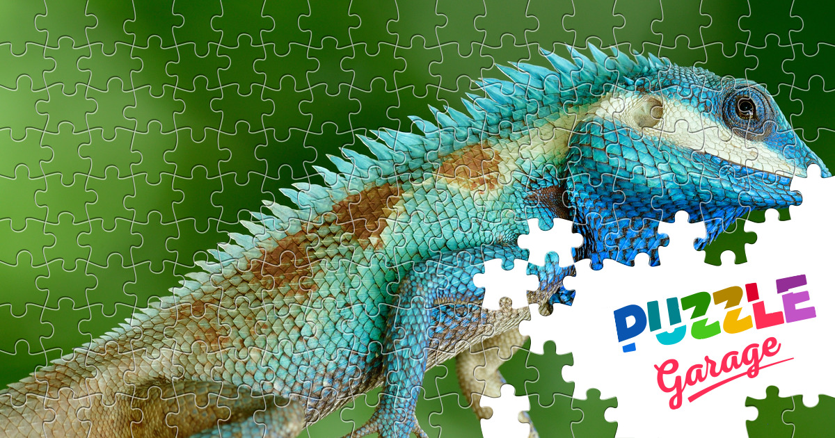 cobra azul - ePuzzle photo puzzle