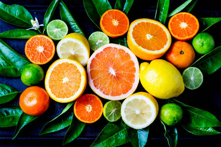 Citrusfrukter på gröna blad