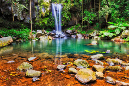 Vattenfall i Tamborine National Park