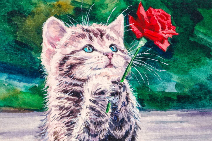 Gatito con una rosa