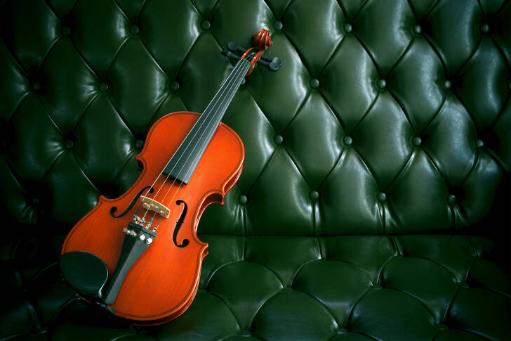 Violine auf grünem Sofa