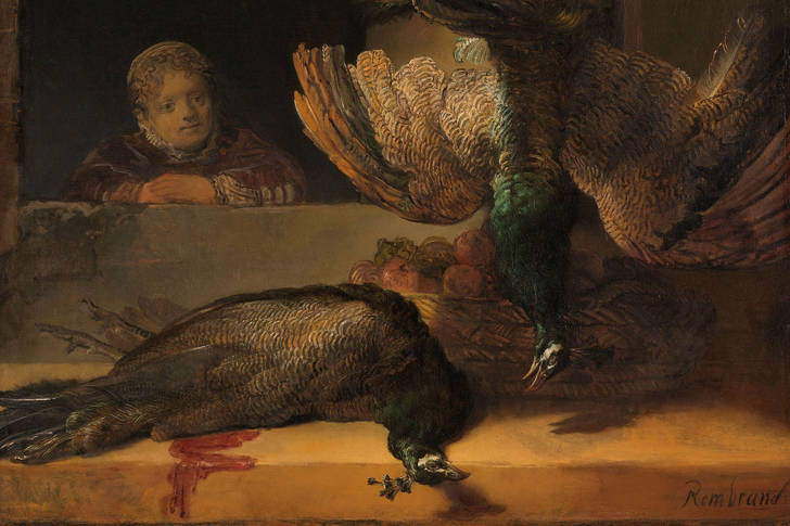 Rembrandt Harmenszoon Van Rijn: "Still Life with Peacocks"