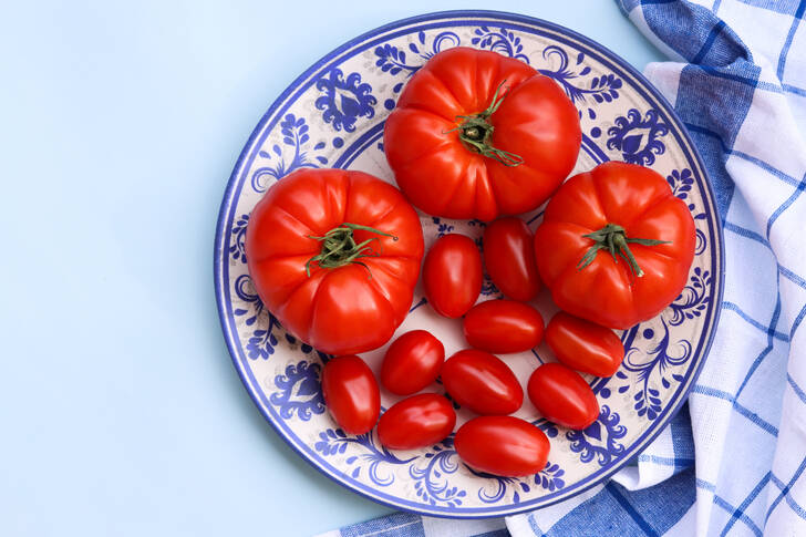 Tomater på en tallrik