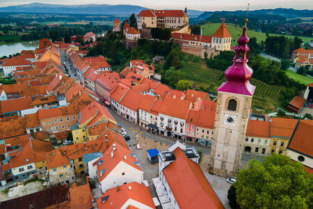 Blick auf die Stadt Ptuj