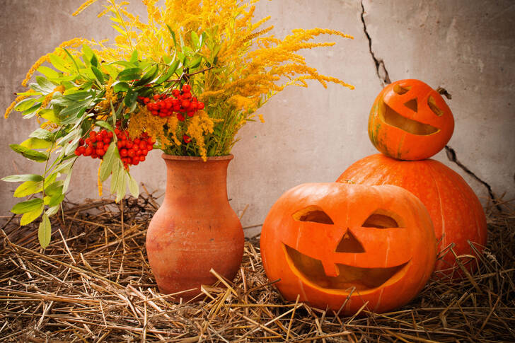 Calabazas de Halloween sobre heno