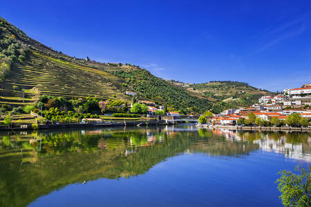 Ville de Pinhão et vignobles