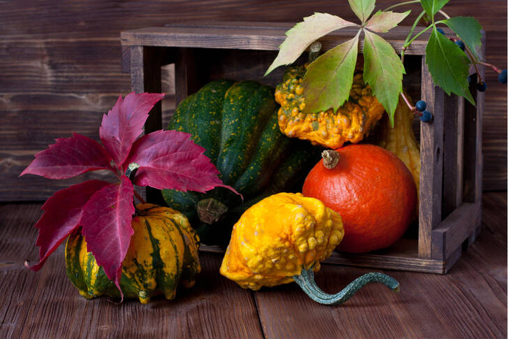 Colorful pumpkins in a wooden box