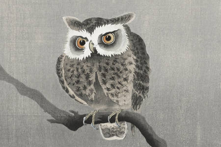 Ohara Koson: "Long-eared owl on bare tree branch"