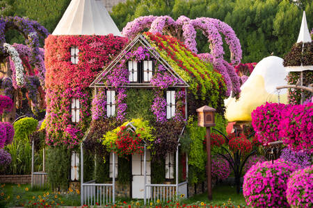 Dubai Miracle Garden