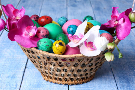Easter eggs and orchids