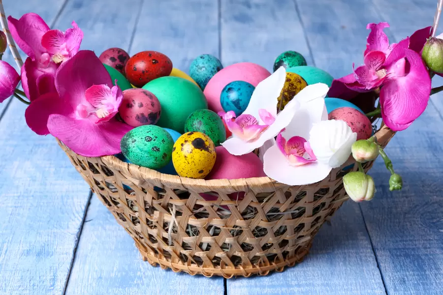 Telur paskah dan anggrek
