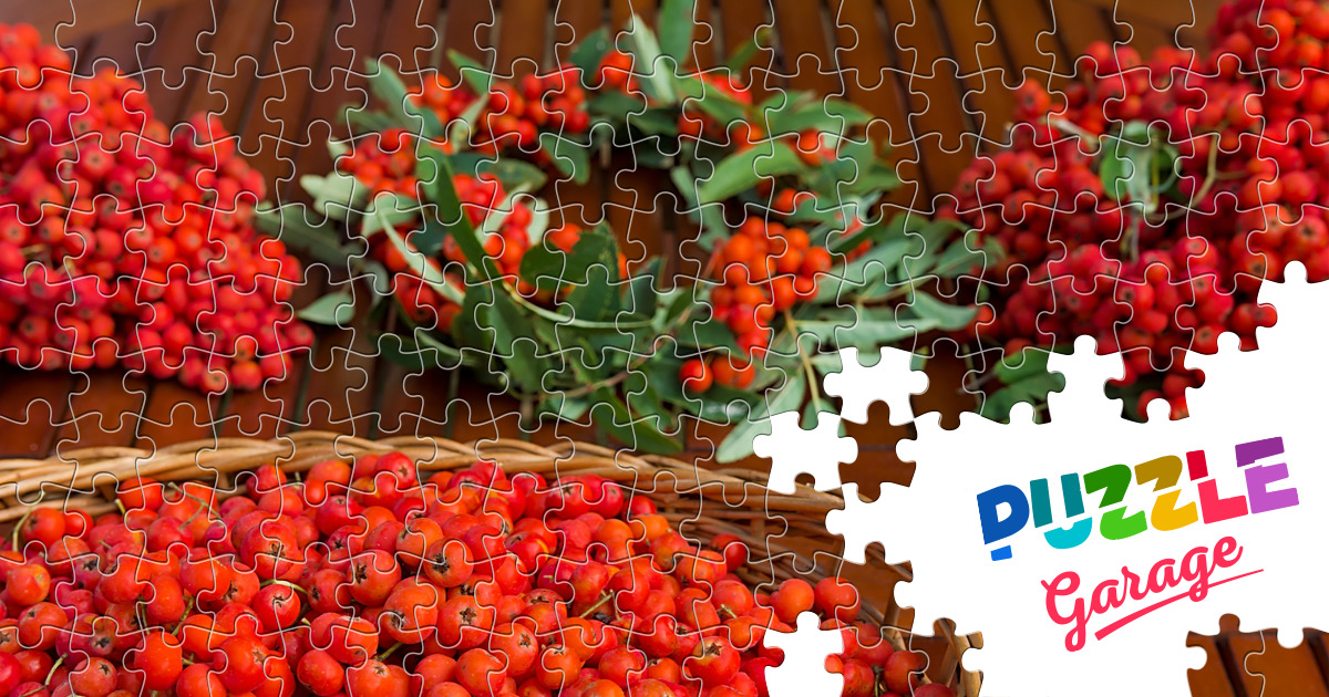 Rowan fruits Jigsaw Puzzle (Plants, Berries) Puzzle Garage