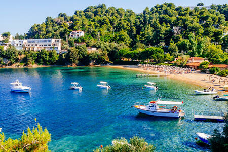 Skiathos adasında tekneler