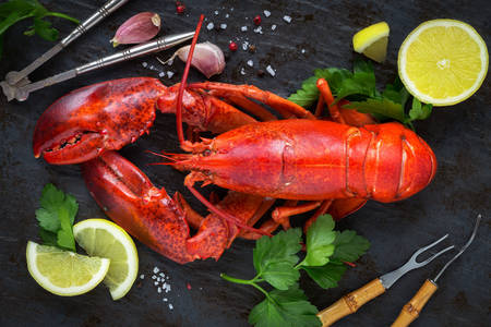 Lobster with lemon slices and herbs