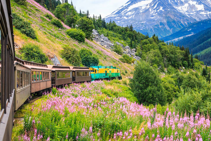 Dismiss Polar beautiful White Pass Railroad and Yukon Route Jigsaw Puzzle (Countries, USA) | Puzzle  Garage