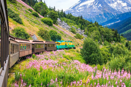 White Pass-spoorweg en Yukon-route