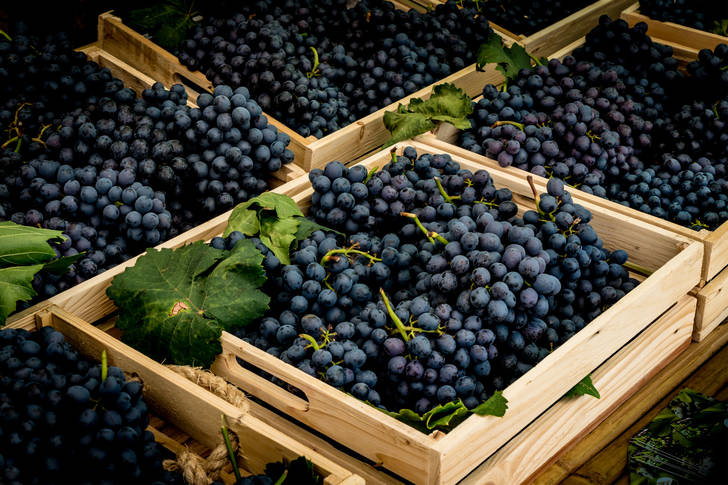 Grapes in wooden boxes