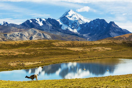 Montagnes boliviennes