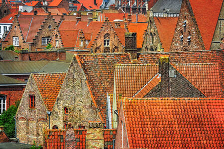 Rooftops in Bruges