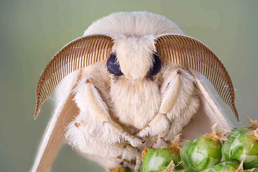 Puzzle Online Spielen Kostenlos Puzzle Garage