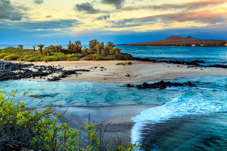 les îles Galapagos
