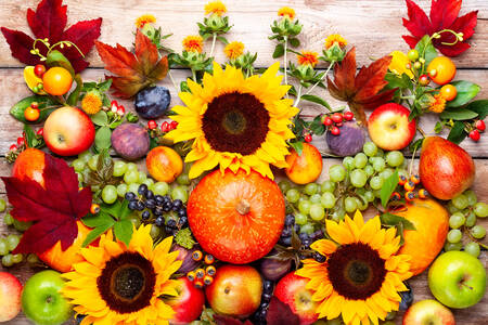 Sunflowers, fruits and berries