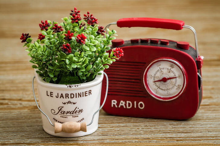 Retro radio en bloem