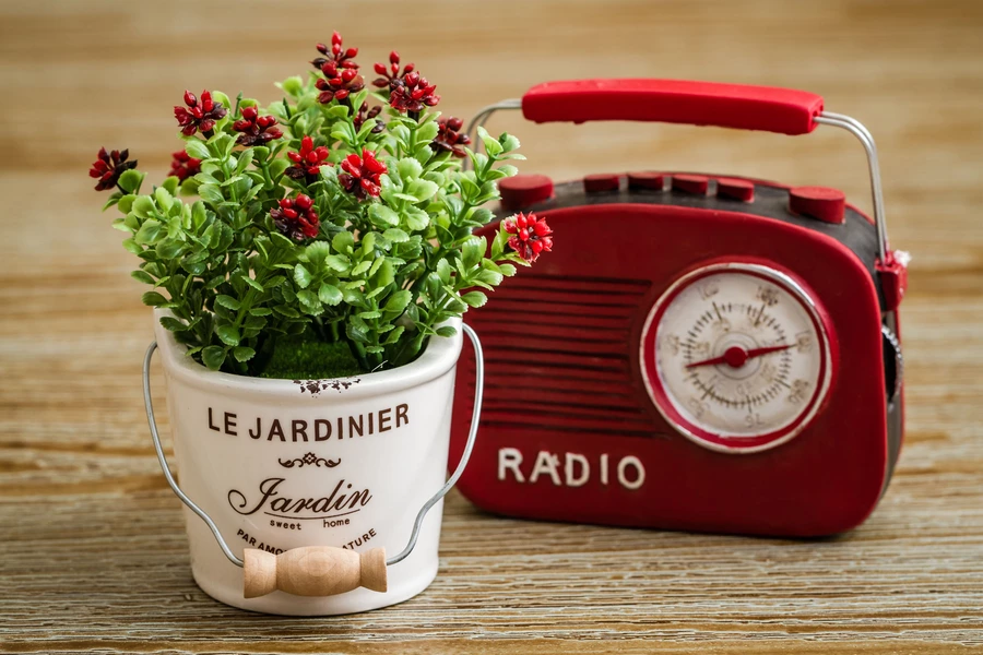 Retro radio og blomst
