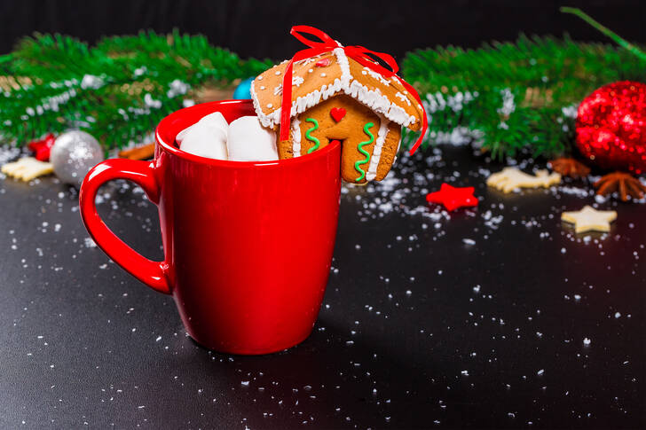 Cup with gingerbread house
