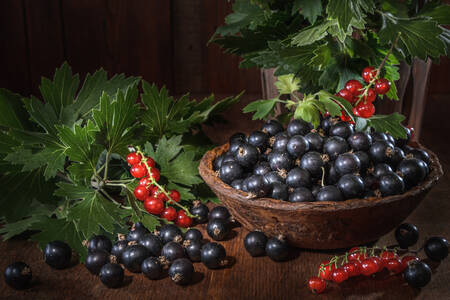 Currant berries