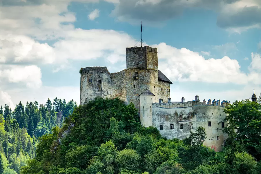 Nedzice loss