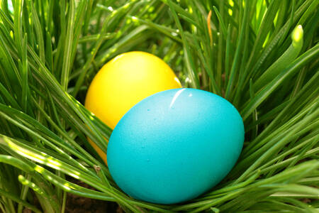 Великденски яйца на тревата