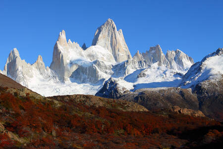 Berg Fitzroy, Patagonië