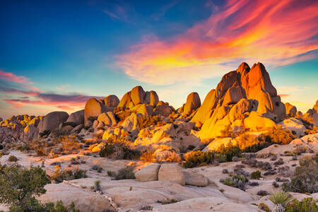 Solnedgang i Joshua Tree Park
