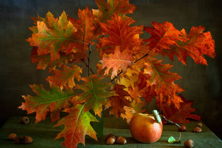 Autumn oak leaves