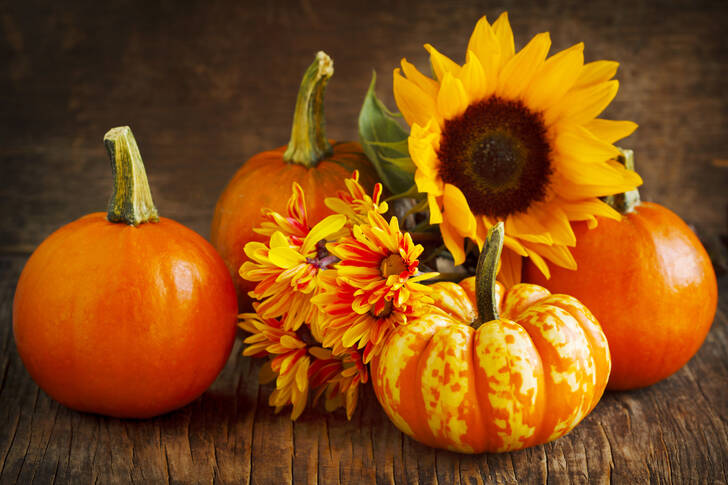 Flores e abóboras na mesa