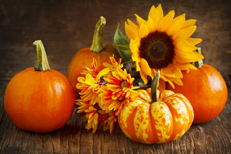 زهور وقرع على الطاولة