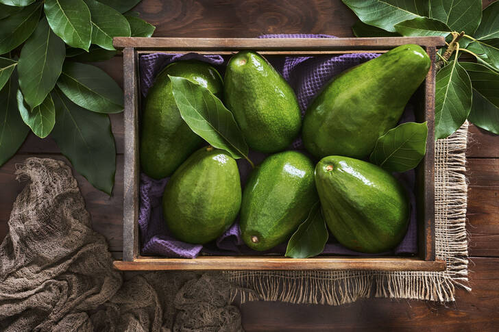 Avocado in a wooden box