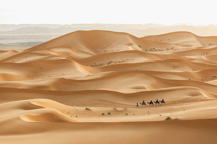 Caravane dans le désert