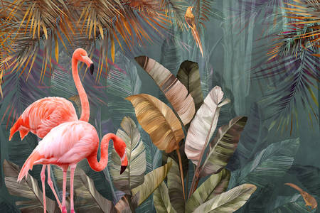 Flamingor i tropikerna
