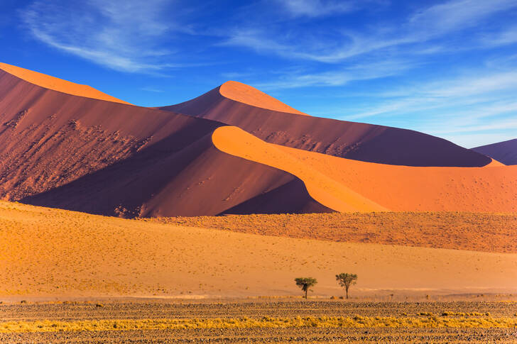 Namib-Naukluft, Namibie