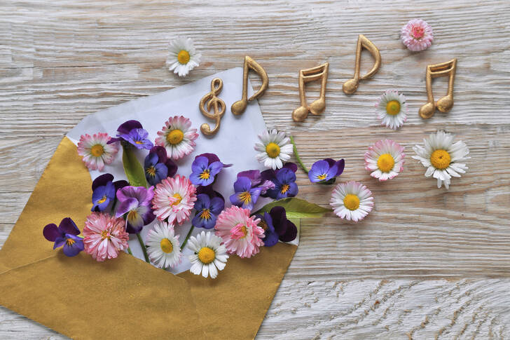 Cveće i čaršij muzika