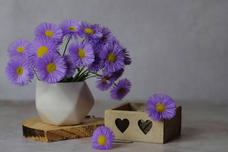 Purple daisies in a vase
