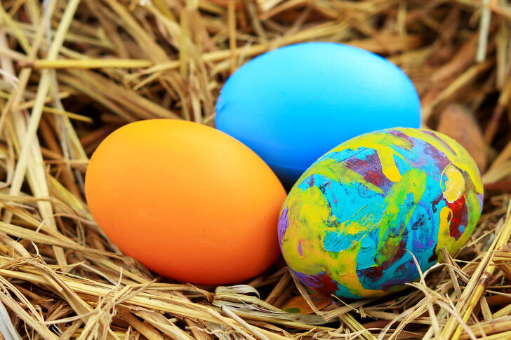 Huevos coloridos sobre paja