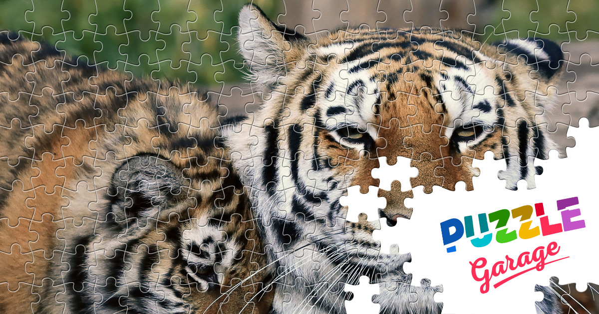 Siberian Tiger With Cub Jigsaw Puzzle (animals, Mammals) 