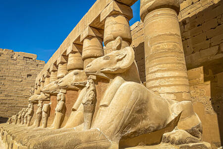 Sculptures du temple de Karnak